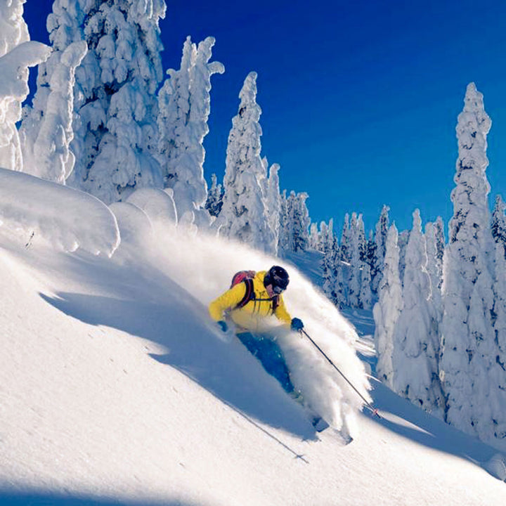 Man skiing in snowy forest #profile_high
